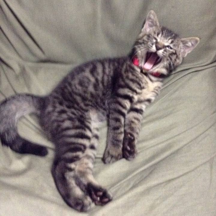 174a56a6 589a 4cb4 bf62 80a4798780fb 1528376233864