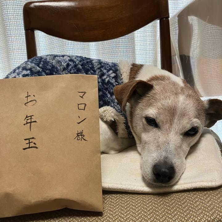 174a6a61 d894 4b2a 9784 3c39f1c1bad5 1767476967273