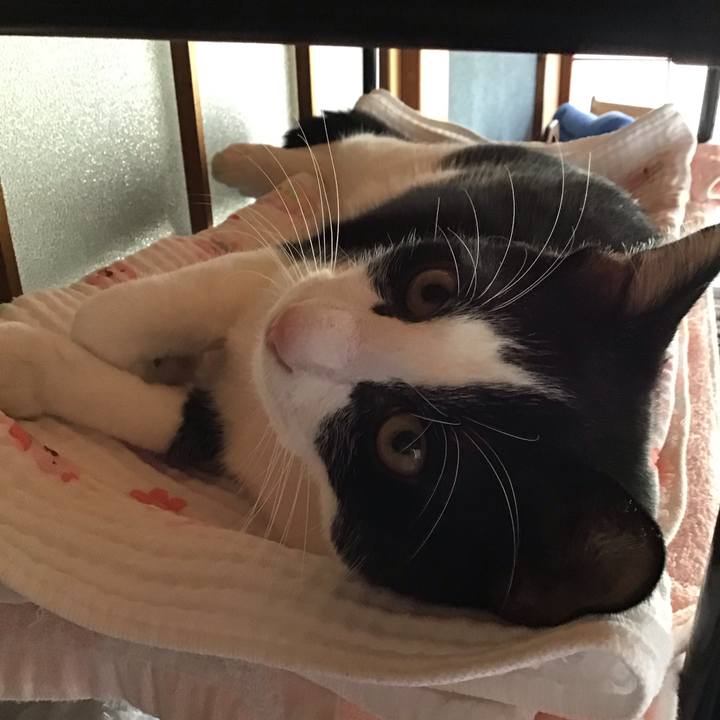 174a7042 4ee1 4e4d 9b8f cac1f3b7c7b4 1634272634044