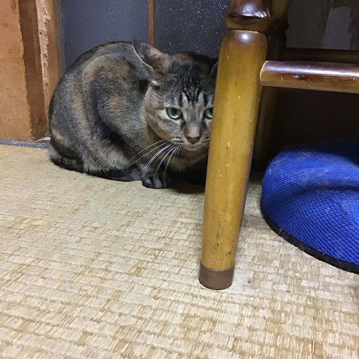 174a963f 80da 4aa0 a76d 35b432f90f13 1729254813369