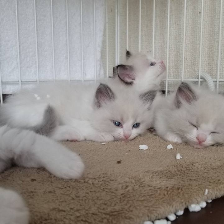 174aa8ef 8407 4f19 96ee 2d0db1fa2de2 1630249460370