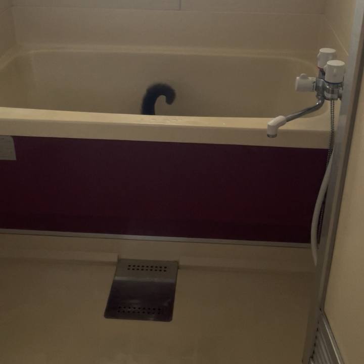 174abd25 f259 4219 8bcf cb1496416eb2 1746344287747