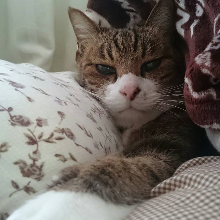 174b2570 94c9 4a89 8fb3 0fc5665c2889 1514734499060