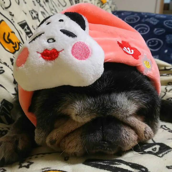 174b392b f246 4468 8a71 b7ce148e3258 1549122081971