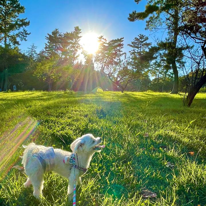 174b4874 11e6 4078 9560 5cca1333d4ae 1633158408152