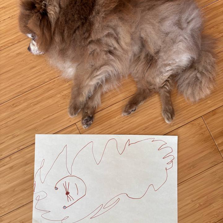 174b645f 5946 4f23 bbf1 21cdb2648f3c 1759553149231