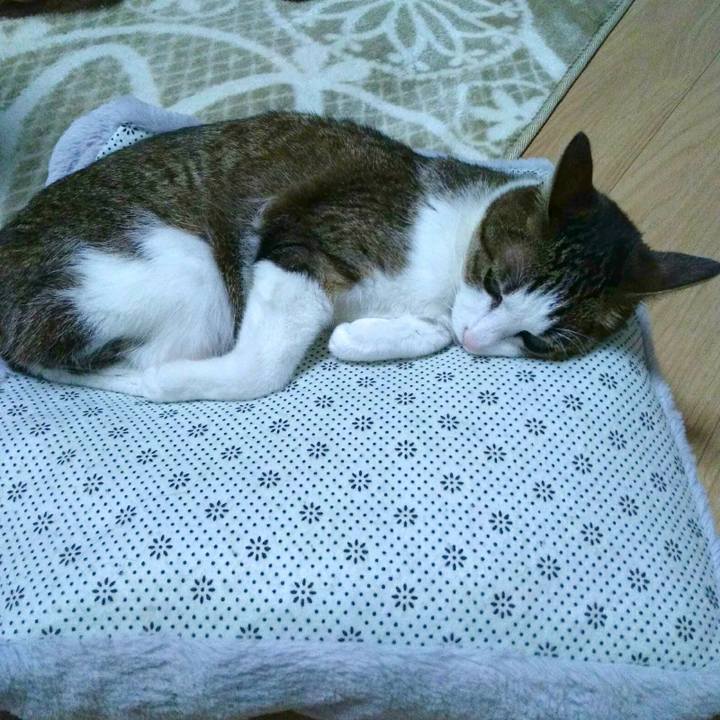 174b70bb 99d2 43c4 8bd7 82d4599342c1 1517227917811