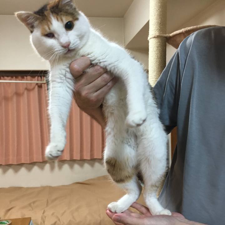 174b7a7f 8f6b 429d 8744 0bcb5091ab78 1508748869006