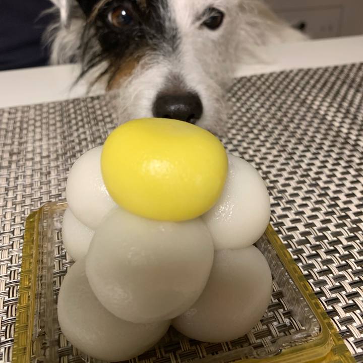 174b94b9 46ad 43e0 b8ca 86fefd9bd734 1662810360746