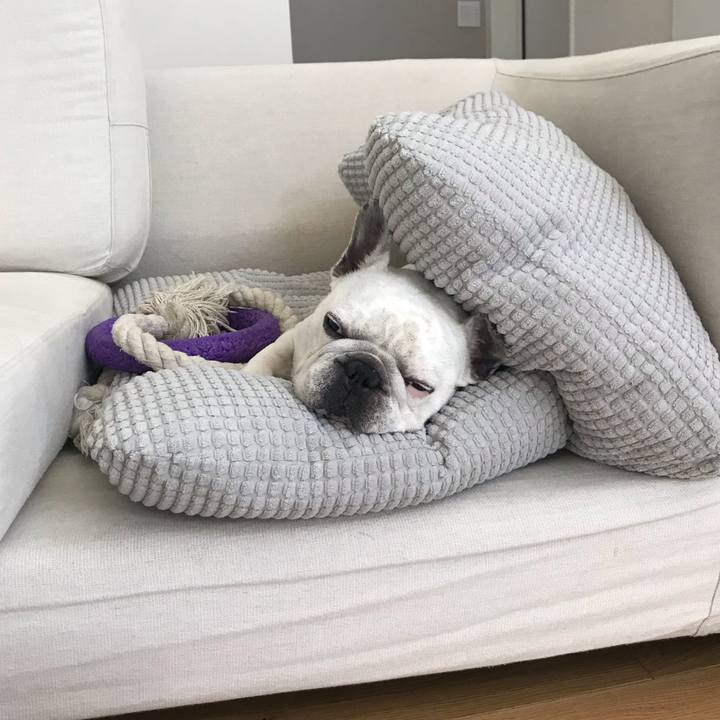 174be75c bef6 410b 8b08 cd7818e57086 1601634649941