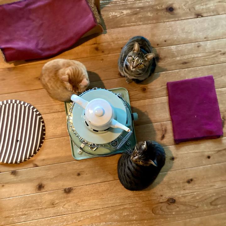 174c2155 b2fe 4b04 964e 6334958e2dfb 1706134966645