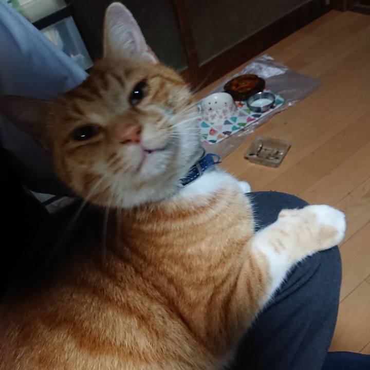 174c3ac7 aa73 476d b27a 83ea9de2046f 1606426823614