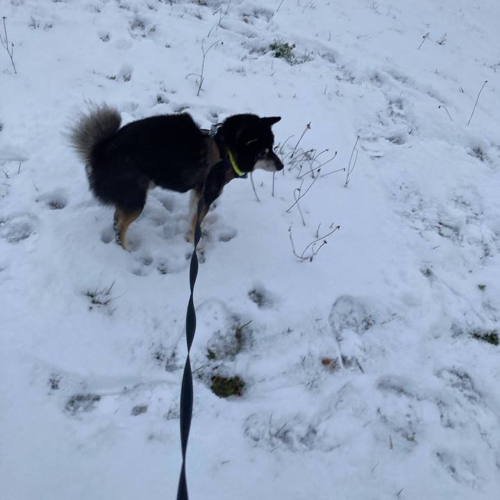 174c4981 4fc8 4c26 8ab1 d27e09074325 1669799232033