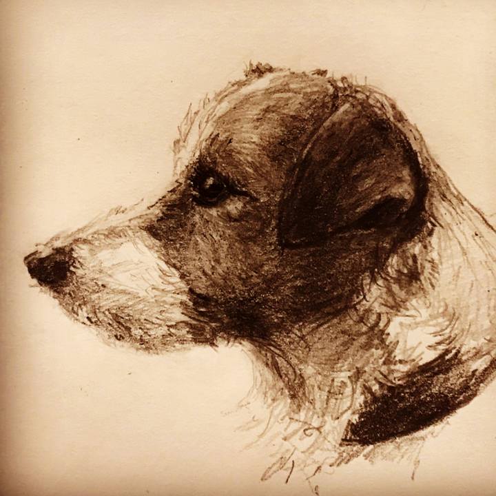 174c63a9 44c1 4cdb 9c52 5d8225e3b64e 1509457053115