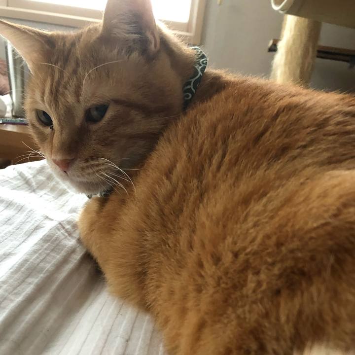 174c7c98 a917 4913 a36f be4f30439b0e 1581718987144