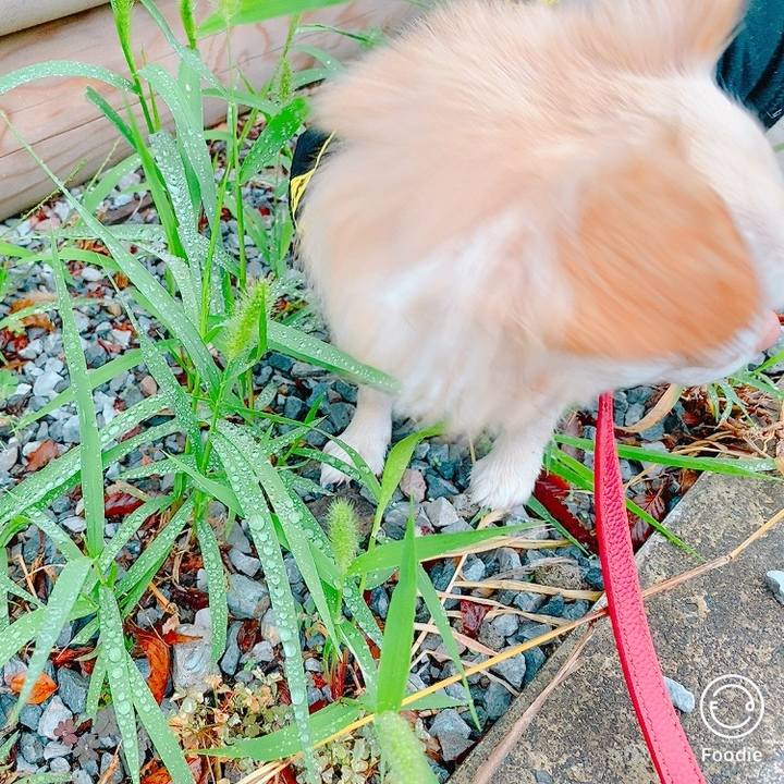 174ca8f6 ac0b 4bd2 abc5 72686a7fb921 1634037946298