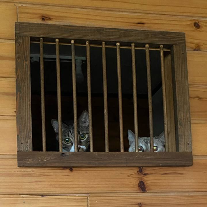 174ce805 0d4e 4de6 9882 ca1e94f90a39 1727221812874