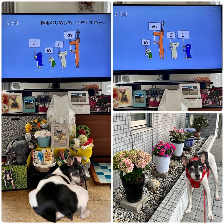 174cf57c 43d9 45ce 97cc f9adb9fede15 1688076605074