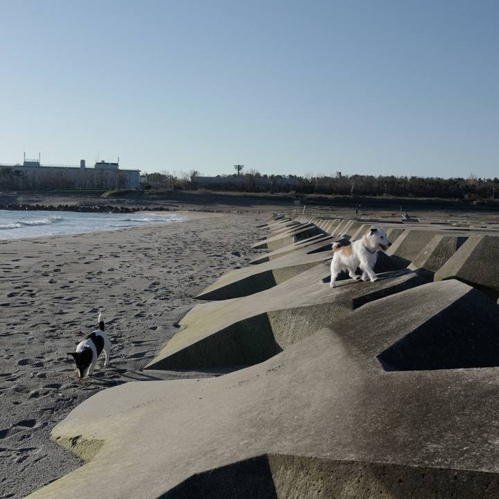 174d0ad0 8dab 4d66 82f6 16c4df8ed76b 1555732899619