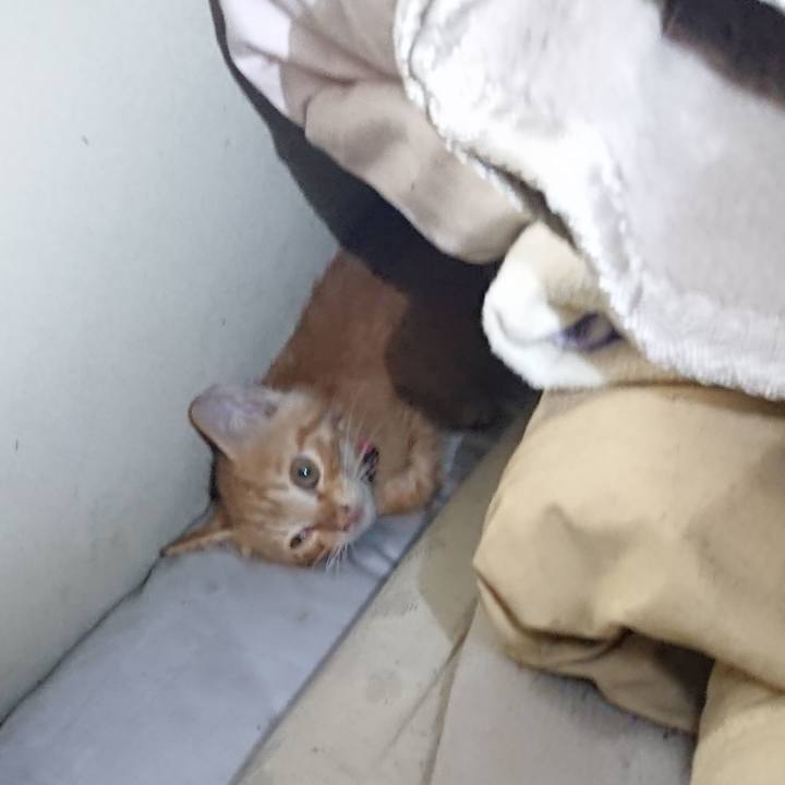 174d12b4 4057 4a51 8b5f 9c8b41978b10 1628122337820