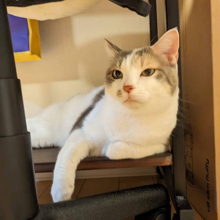 174d2e78 2a99 4b8b a677 432273b0a0cc 1688959911904