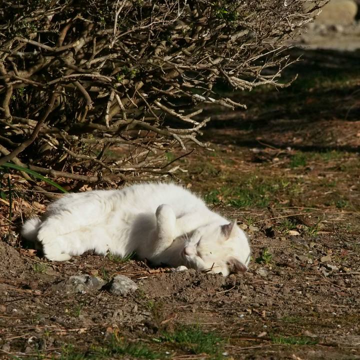 174d5741 026a 47d0 8604 943ce433cb81 1521362852344