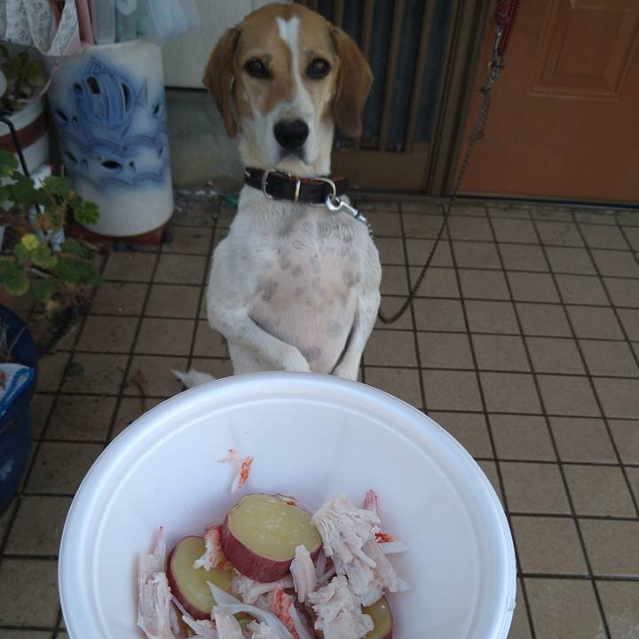 174d6343 3aa7 4fb9 a1aa cf2ce116a4e2 1661748300253