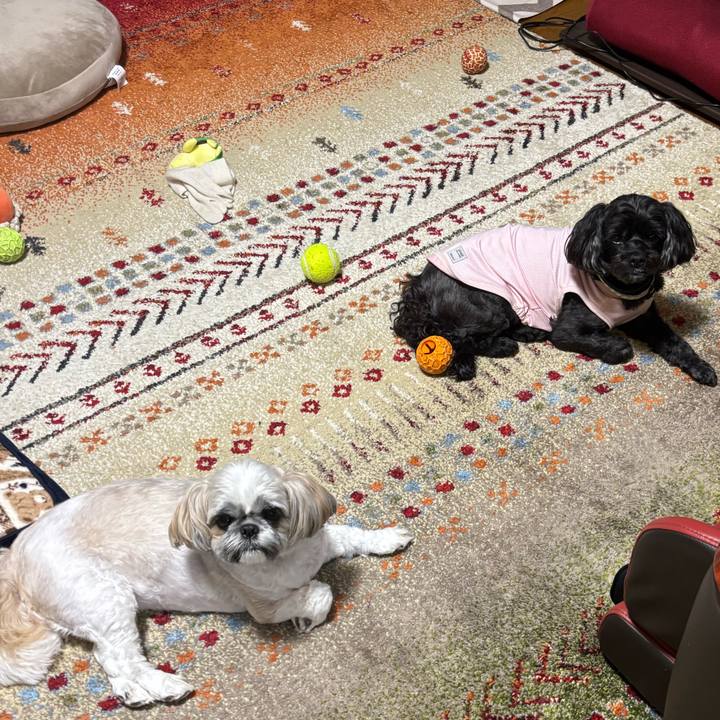 174d980a c838 4d09 9b54 20d6e51b5381 1757941253846