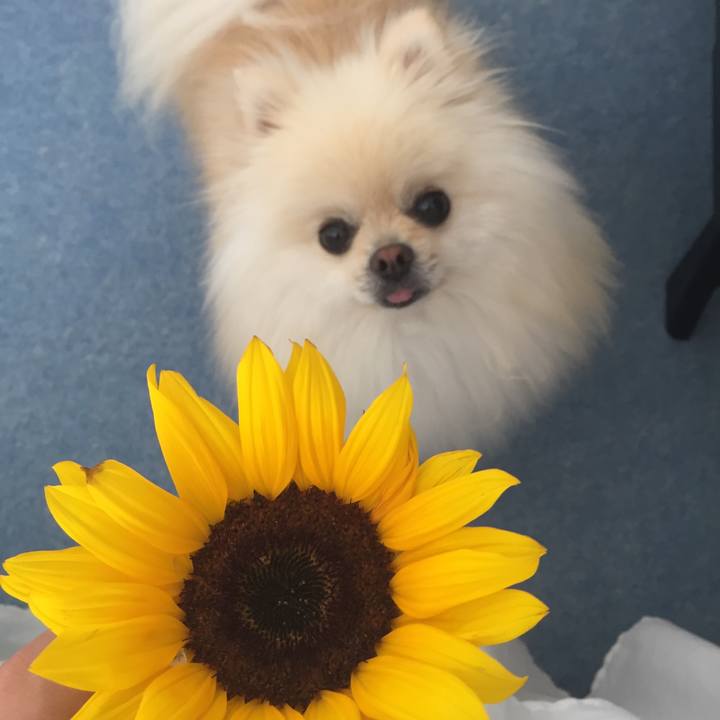 174dac6c 8e54 47f7 985b d663bab62bc2 1534656020441