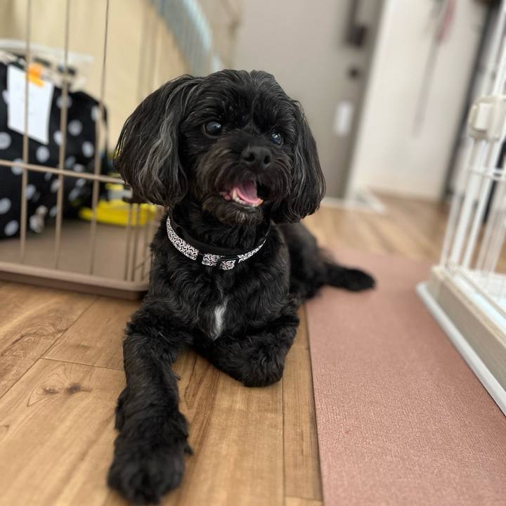 174db9f3 4887 4ae3 8f84 cb0c06a3f0c3 1726846581753