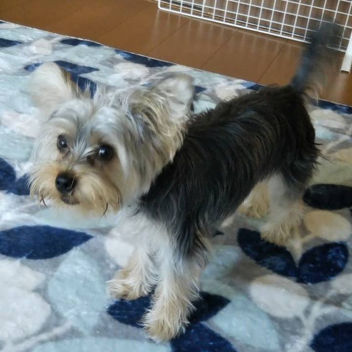 174dbaa5 2a81 4776 acda 315fb749843a 1541034181100