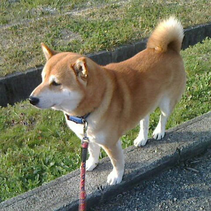 174dc22c d288 4c4c 9c4c 66bb55619a7a 1554900621243