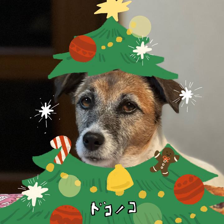 174de737 be24 4747 8574 7ac1b3855095 1761114371784