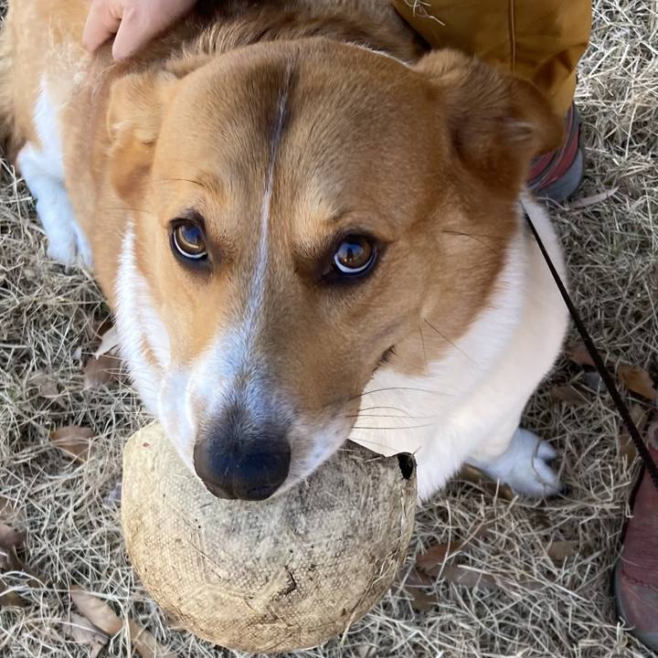 174def02 66f3 4ed2 8af8 a83e7b2b24f3 1704678703584