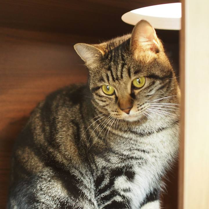 174df4b3 e9e1 4536 9983 f48e82e0cf99 1547261095811