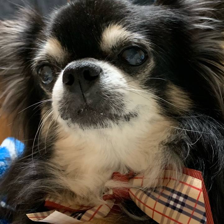 174e7c8c bf2d 438f 91c6 b01e65026250 1571057143765