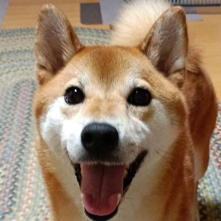 174e7d6a 7d07 45b3 8252 b4d26919f43a 1755986945048