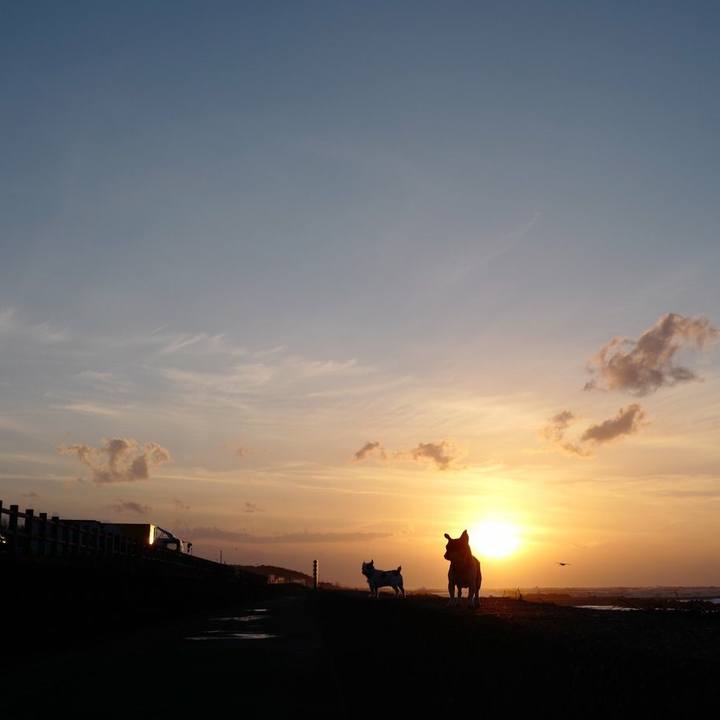 174ea743 cf31 40df a9f1 e5dcc6f6217e 1543726863225