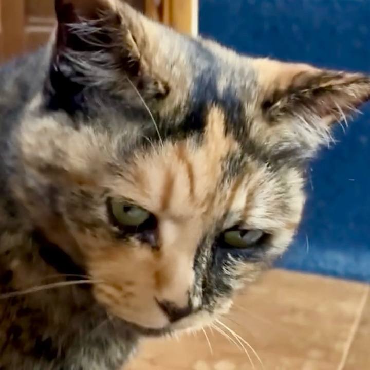 174ed9a2 938c 4974 9b14 7ddae1d29b01 1751248994981