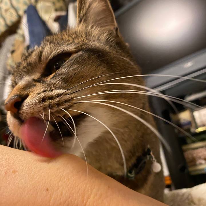 174ede34 5cb8 4bf2 8bb6 779165cb1865 1613662523938