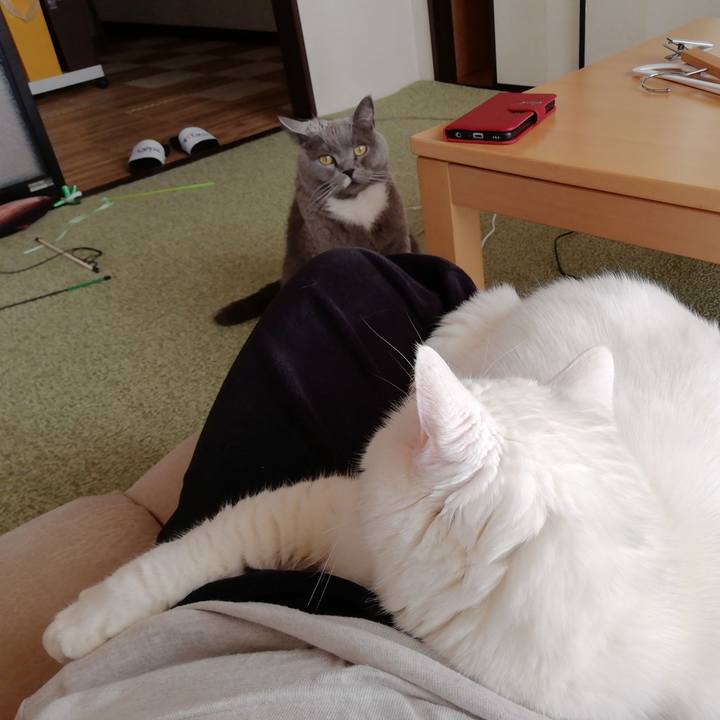 174f36bf 732a 45a6 864e 4c31ac21435a 1672614736259