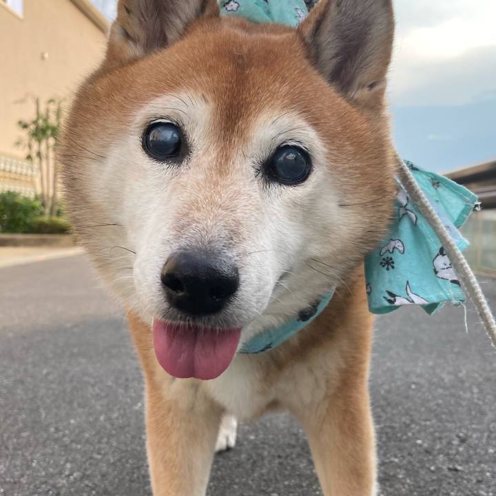 174f6d44 0591 45f8 ad5d ea17243f2643 1723625746846