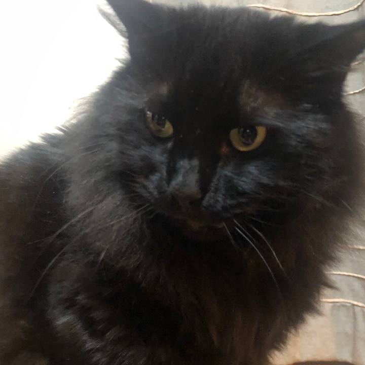 174f70da a459 4fbe 95f5 4c78c40f7397 1551617532665