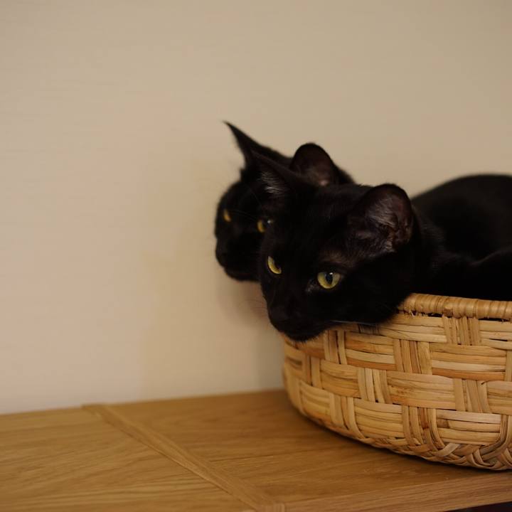 174f7daa b057 4ed8 8d1c d34c44e0e916 1550805808788