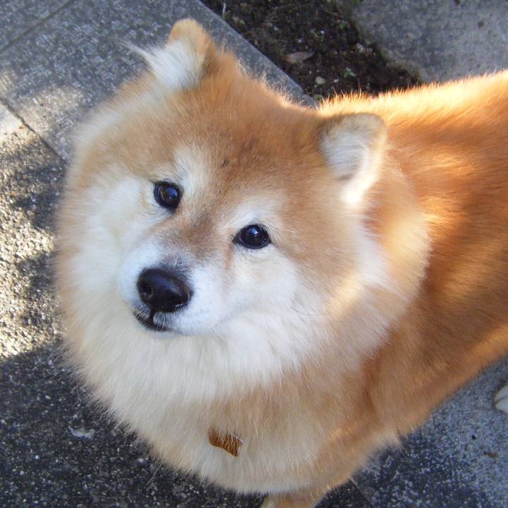 174f837c ec78 4d32 93ac 2fce146c8664 1536282661775