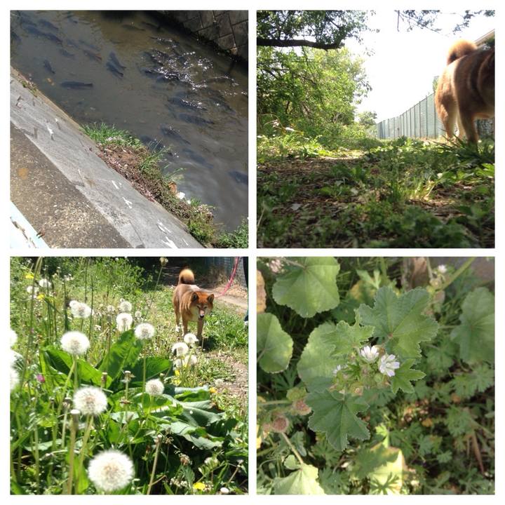 174fabb6 4ee2 46c9 8d48 a87e5becb6f4 1524282075605