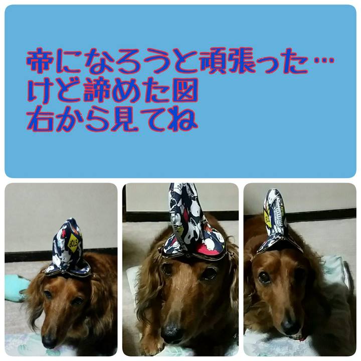 17501c7e c958 4cc4 ad16 4dd459bd75f6 1530706290537