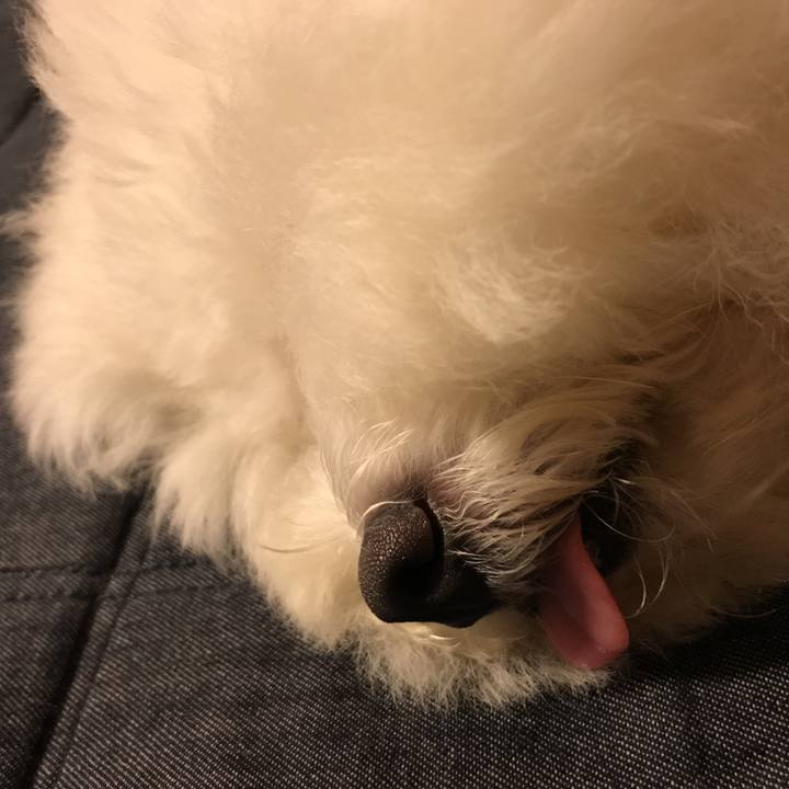 17507784 52c0 4ea6 9c42 ad9eed2c7468 1532179802798