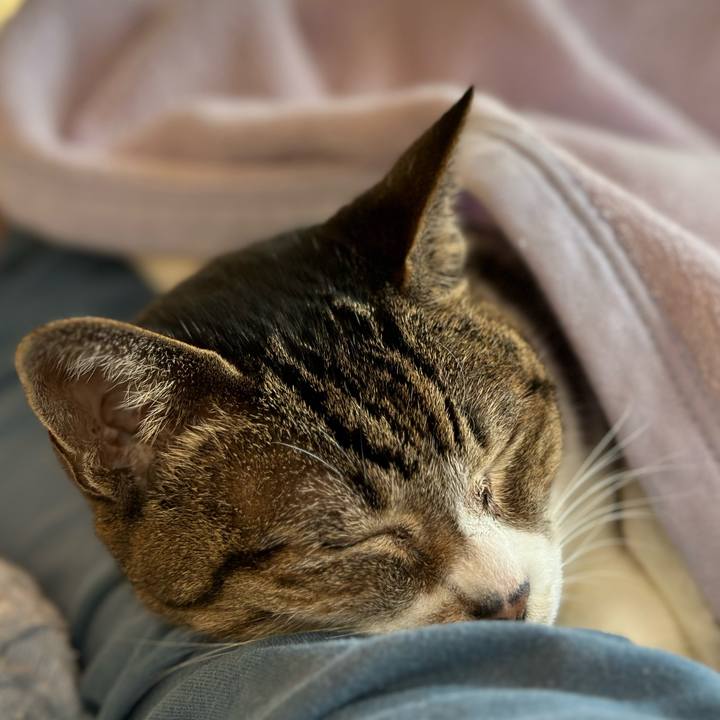 1750802d 61e1 4651 ac89 d8ced882a763 1667269070848