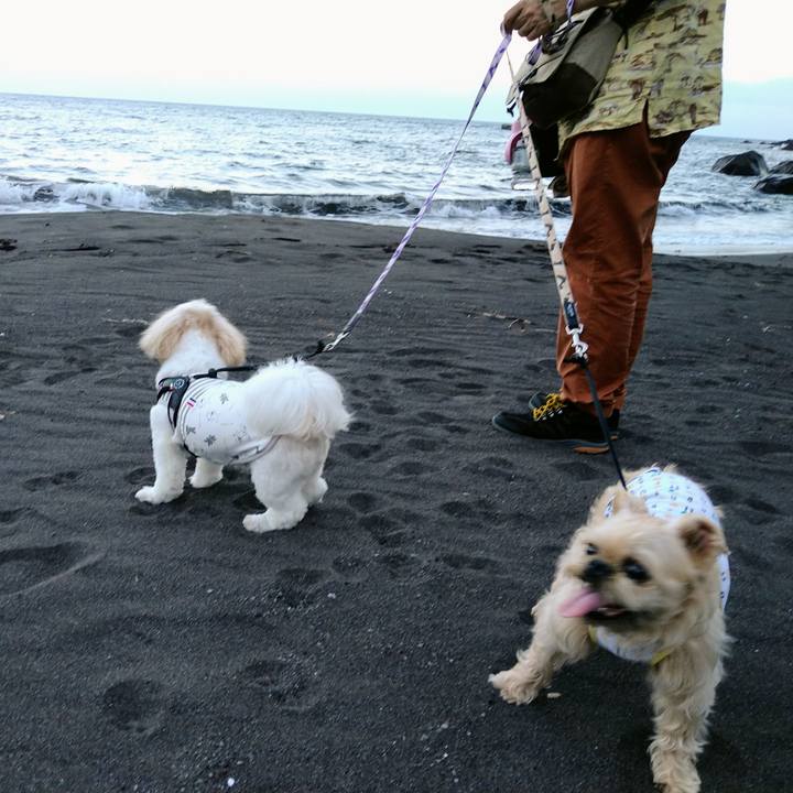 175081e1 d8f8 4db3 9fc9 860bc5fdc150 1656171198120